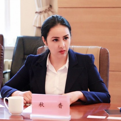 Перевод на переговорах с С северо-западным университетом