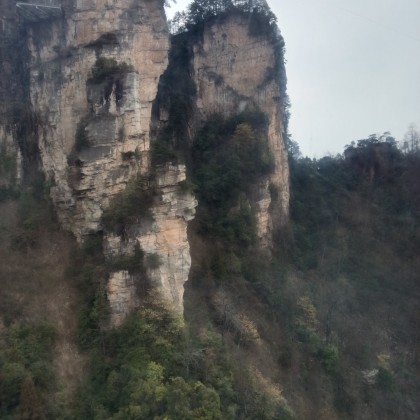 Экскурсия Чжанцзяцзе Аватар Парка