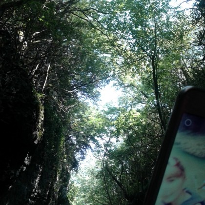 Экскурсия в Мартвильском каньоне