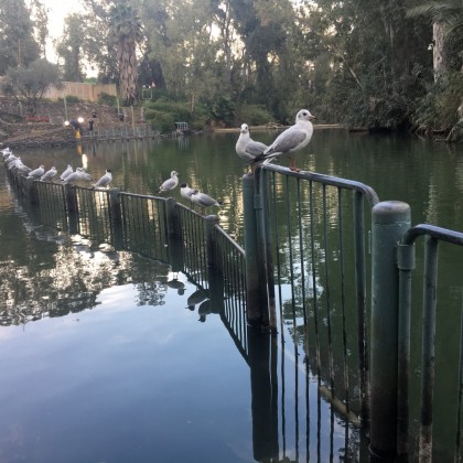 Экскурсия Ярденит, место крещения