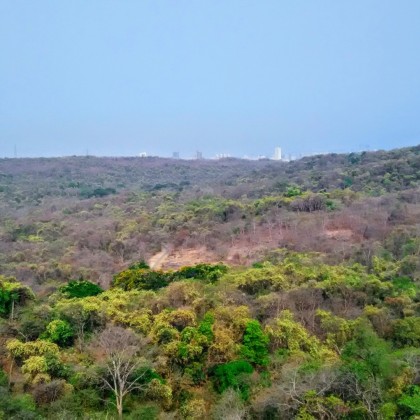 Переводчик Юлий на выставке Национальный парк