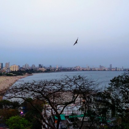 Экскурсия Вид на Марин Драйв