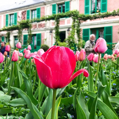 Экскурсия по дому-усадьбе Клода Моне в Живерни