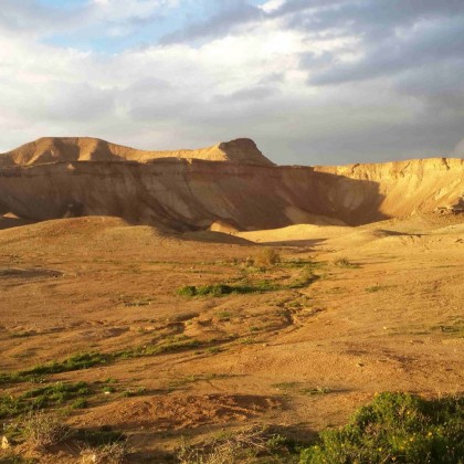 Экскурсия Иудейская пустыня