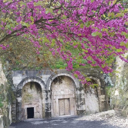 Экскурсия Бей а-Шаарим