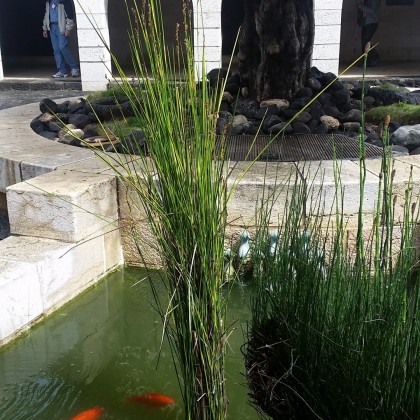 Экскурсия в Галилее