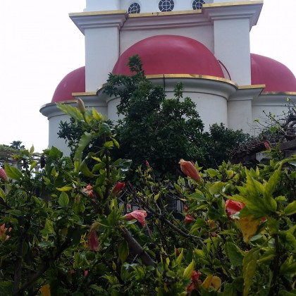 Экскурсия в Гилилее