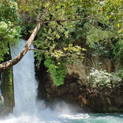 Экскурсия в заповеднике Баниас, север Израиля