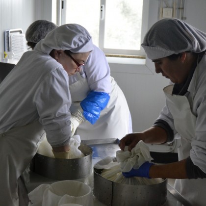 Проверка производителя сыра и творога