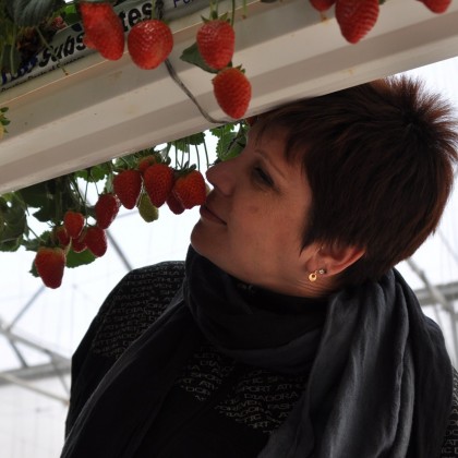 Экскурсия пустыня Негев, Израиль