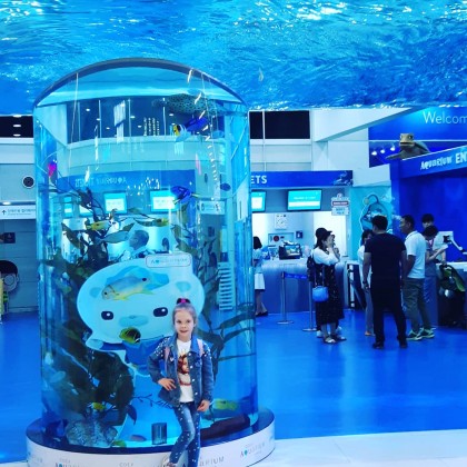 Экскурсия в Сеуле ,океанариум коэкс