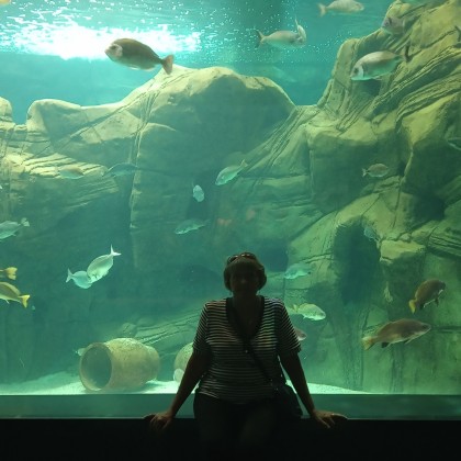 Экскурсия в Ираклеоне, морской аквариум