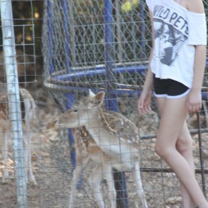 Экскурсия в Ханье