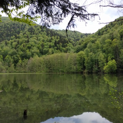 Экскурсия в Картли - озеро Батети