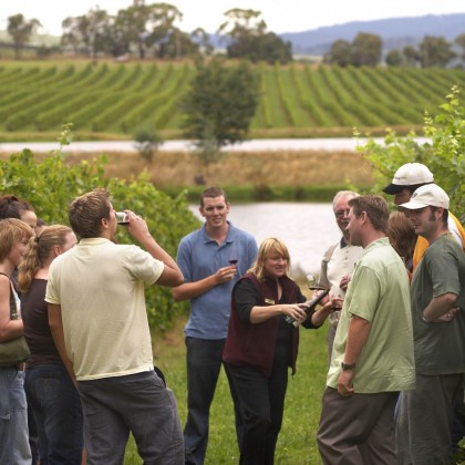 Экскурсия Винный тур в Валле д'Аосте