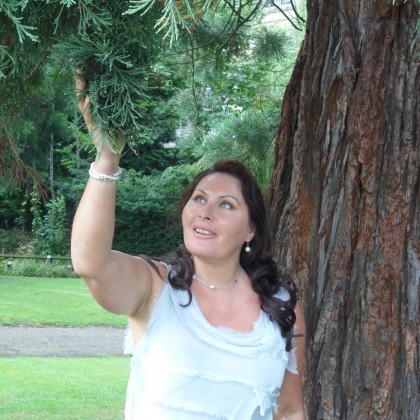 Перевод на переговорах с Kent City Council