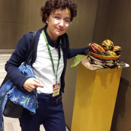 Перевод Франция, Беларусь, Россия, Украина