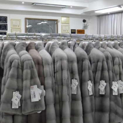 Перевод на заводе Касторья-фабрика по пошиву шуб