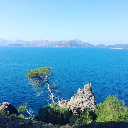 Экскурсия Испания, Пальма-де-Майорка