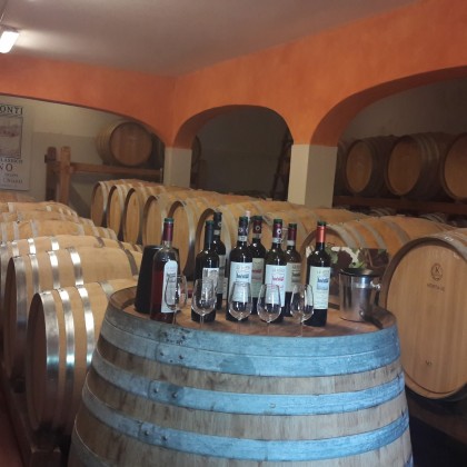 Экскурсия в Болгери