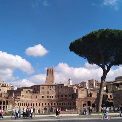 Экскурсия "Древний Рим" (панорама Форумов)