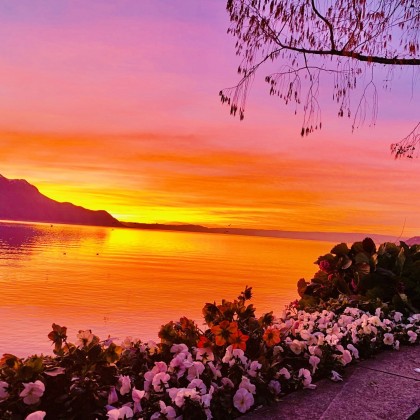 Переводчик Oxana на выставке Montreux