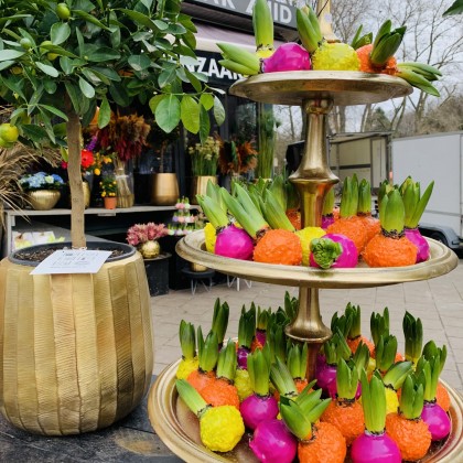 Экскурсия Весна в Амстердаме