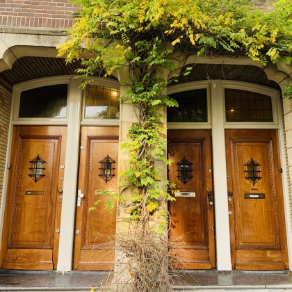 Экскурсия Парадные Амстердама