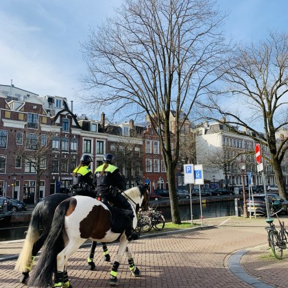 Экскурсия Амстердам