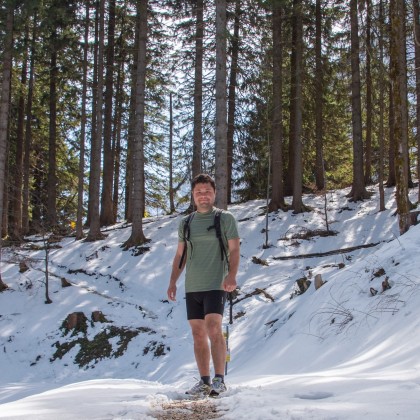 Экскурсия лёгкий хайкинг в австрийских Альпах