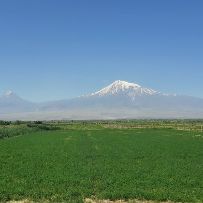 Переводчик Армен на выставке Арарат