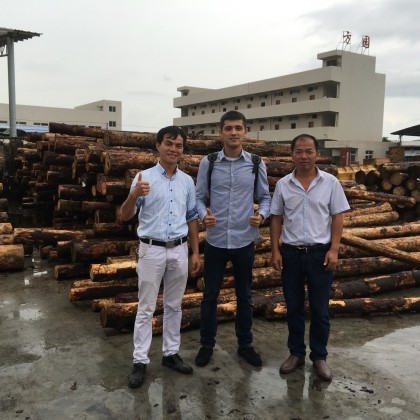 Перевод на заводе сосны