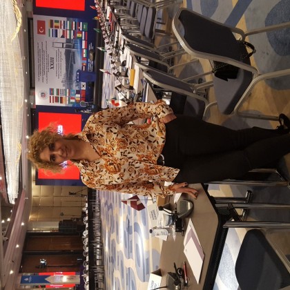 Перевод на переговорах с Международная конференция