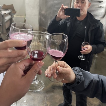 Экскурсия Кахетия винный завод , дегустация вина