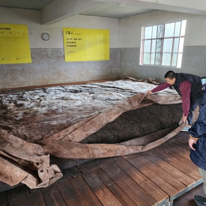 Перевод на заводе произаодителя чая Пуэр