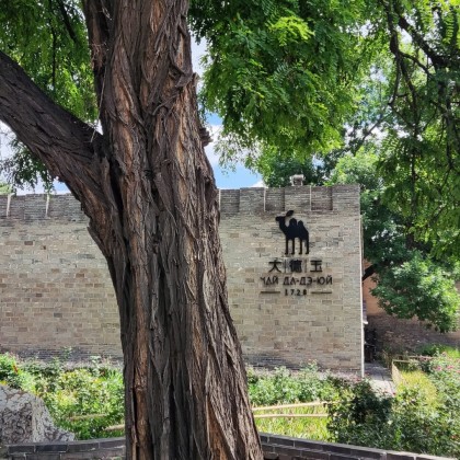 Экскурсия в провинции Шаньси