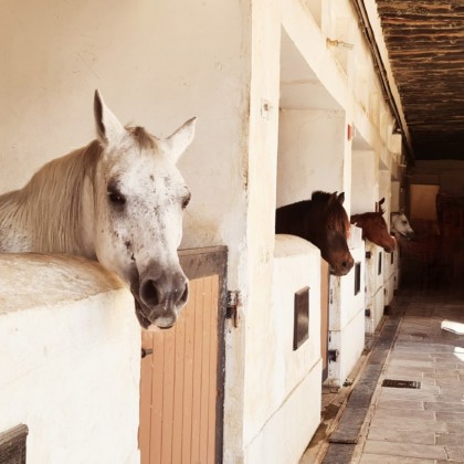 Экскурсия в Катаре