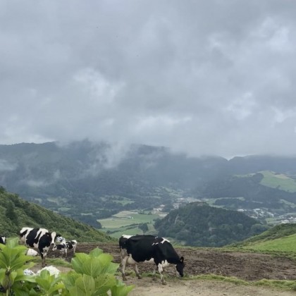 Экскурсия Азорские острова (Сан Мигель)