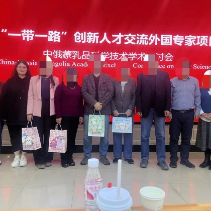 Перевод конференции