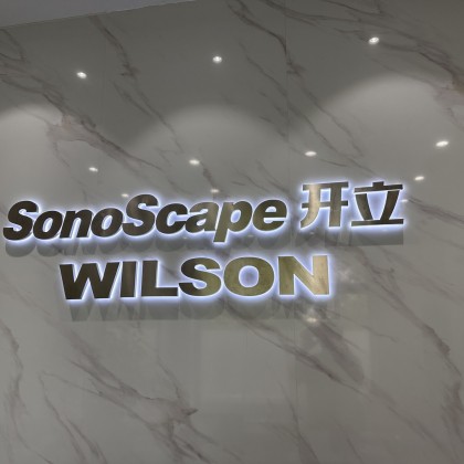 Переводчик WILSON в 2024