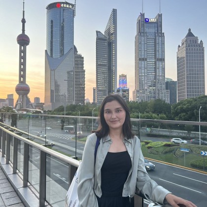 Перевод на рынке НЕБЕСНАЯ ЛОШАДЬ