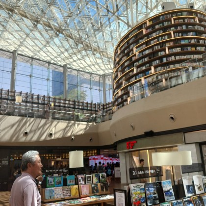 Экскурсия  Республика Корея  Сеул  Задворки Гангнама