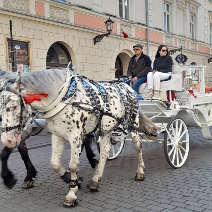 Экскурсия в Кракове