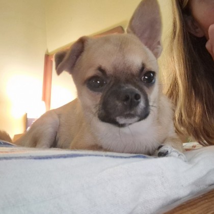 Перевод на переговорах с    Все