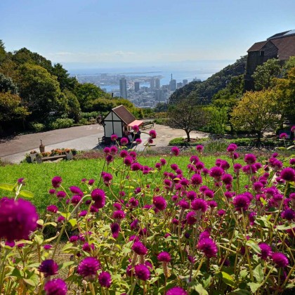 Переводчик Лариса на выставке Вид на город Кобэ,с горыРоккосан
