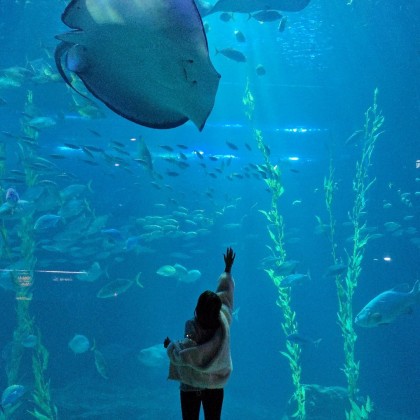 Переводчик Ольга на выставке Jeju aqua planet 