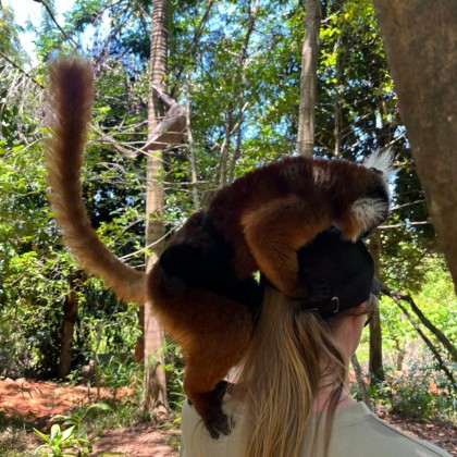 Экскурсия Носи-комба