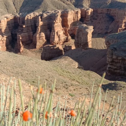 Экскурсия Charyn canyon