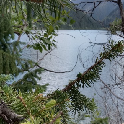 Экскурсия Kolsay lake