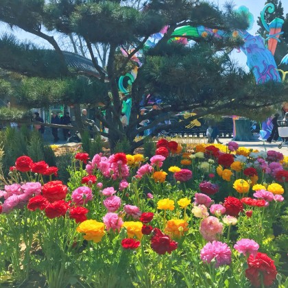 Экскурсия Пекин, парк Житань